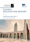 Tunisia Delegation Report